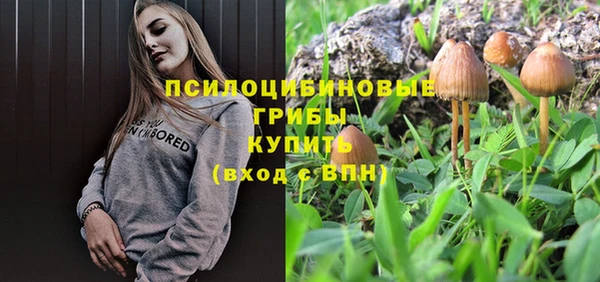 круглые Алексеевка
