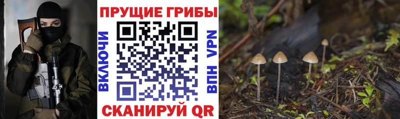 блэк спрут tor  Сосенский  Галлюциногенные грибы мицелий  хочу наркоту 
